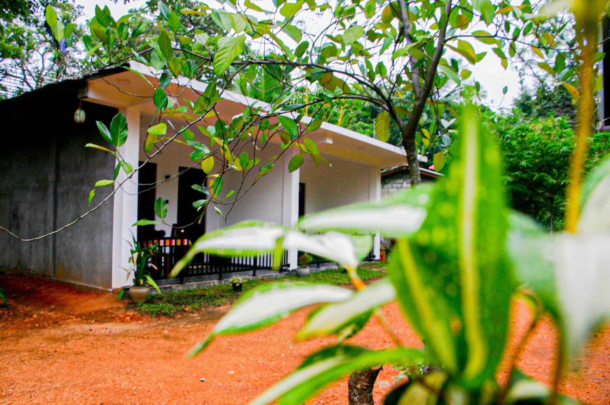 Sigiri Heaven Villa สิกิริยา ภายนอก รูปภาพ