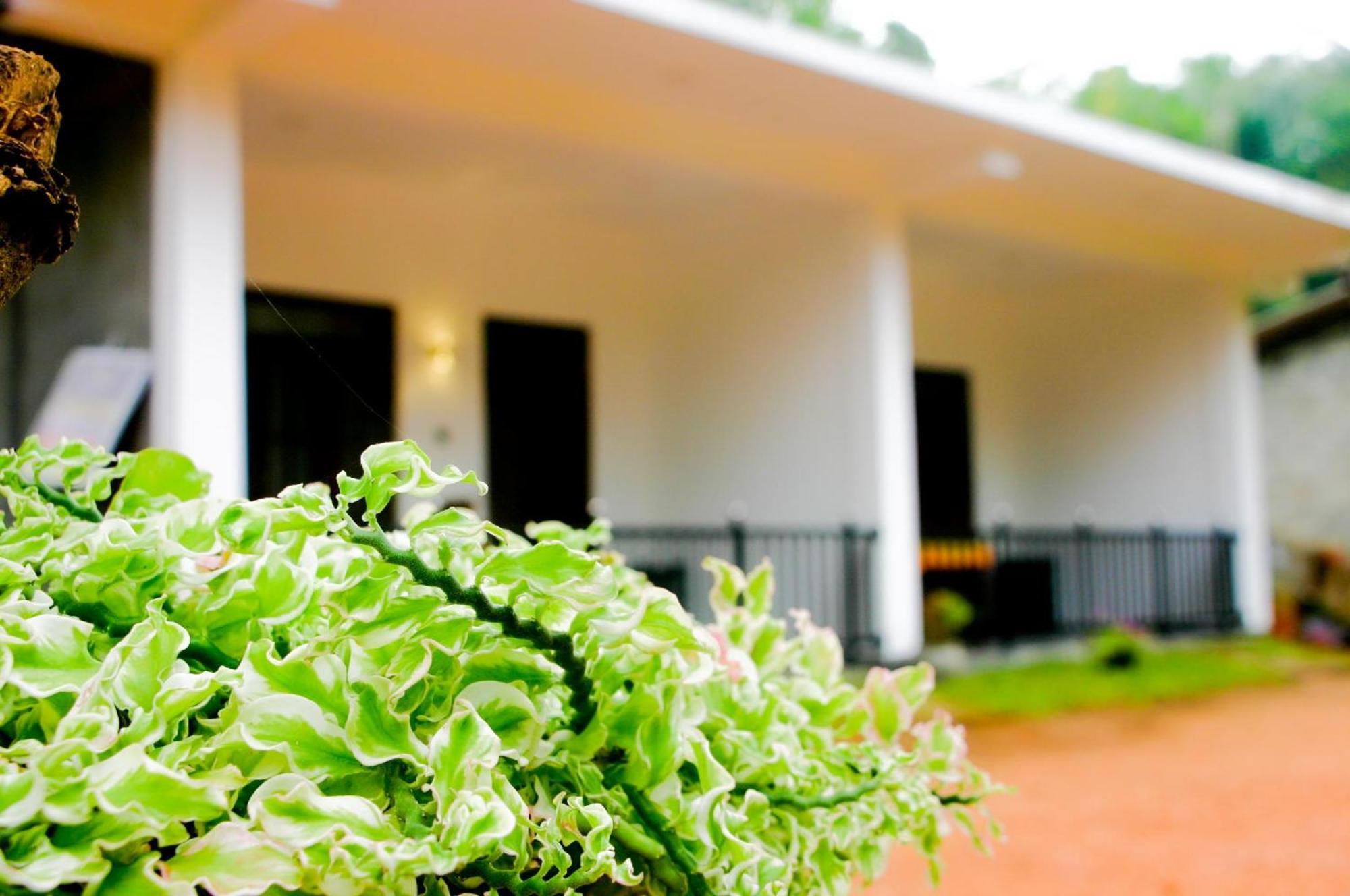 Sigiri Heaven Villa สิกิริยา ภายนอก รูปภาพ